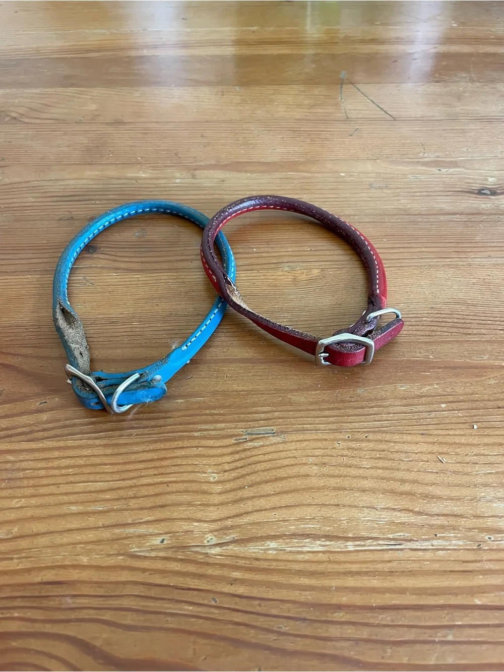 Blue and Red Leather Dog Collars - Classic Adjustable Pet Collar